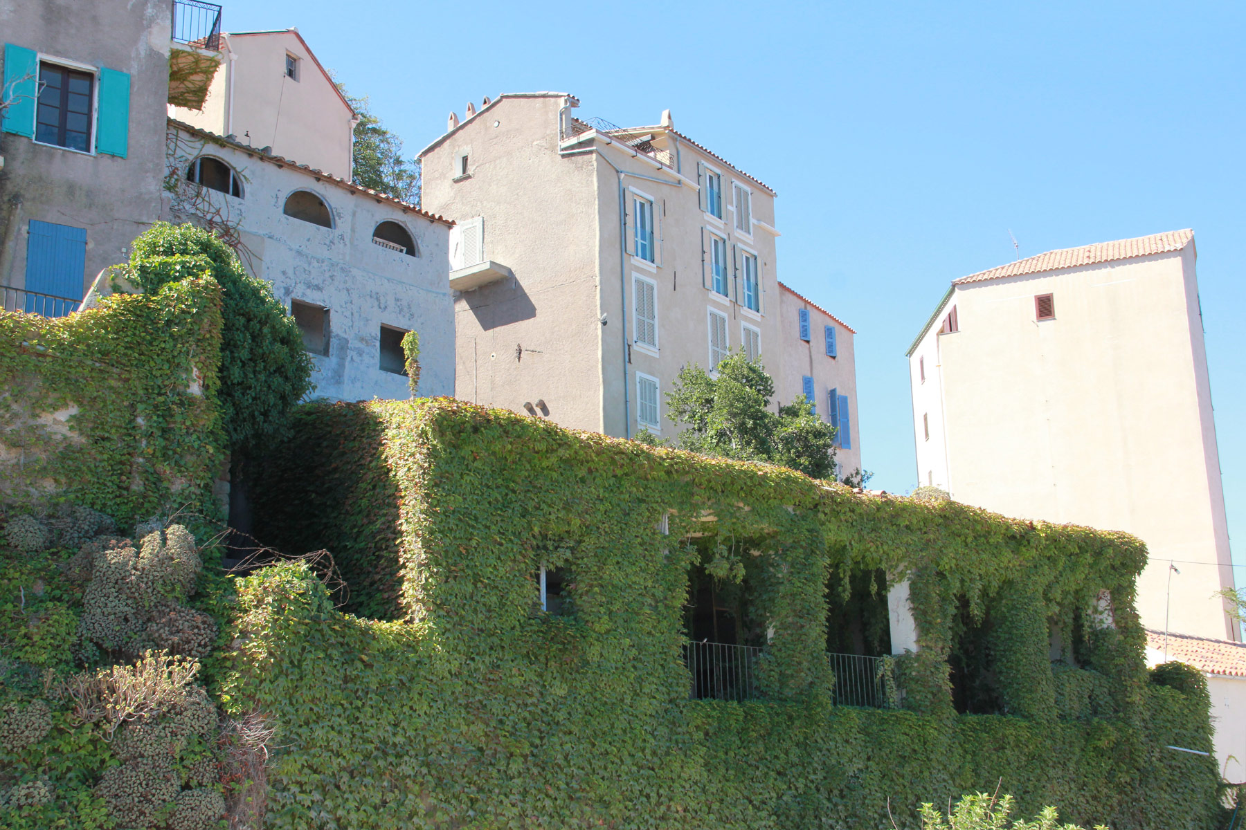 Calvi